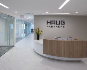 Haug Partners